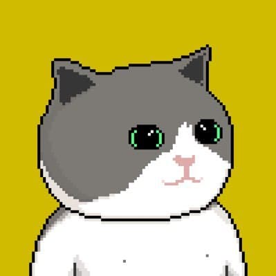 Naiive the Cat Meme Coin